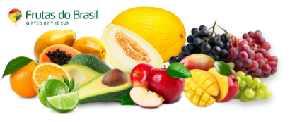 Frutas Logo de Seção