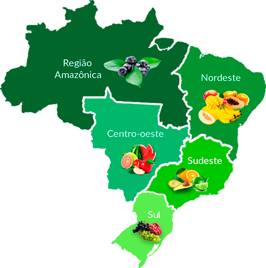 Mango - Frutas do Brasil