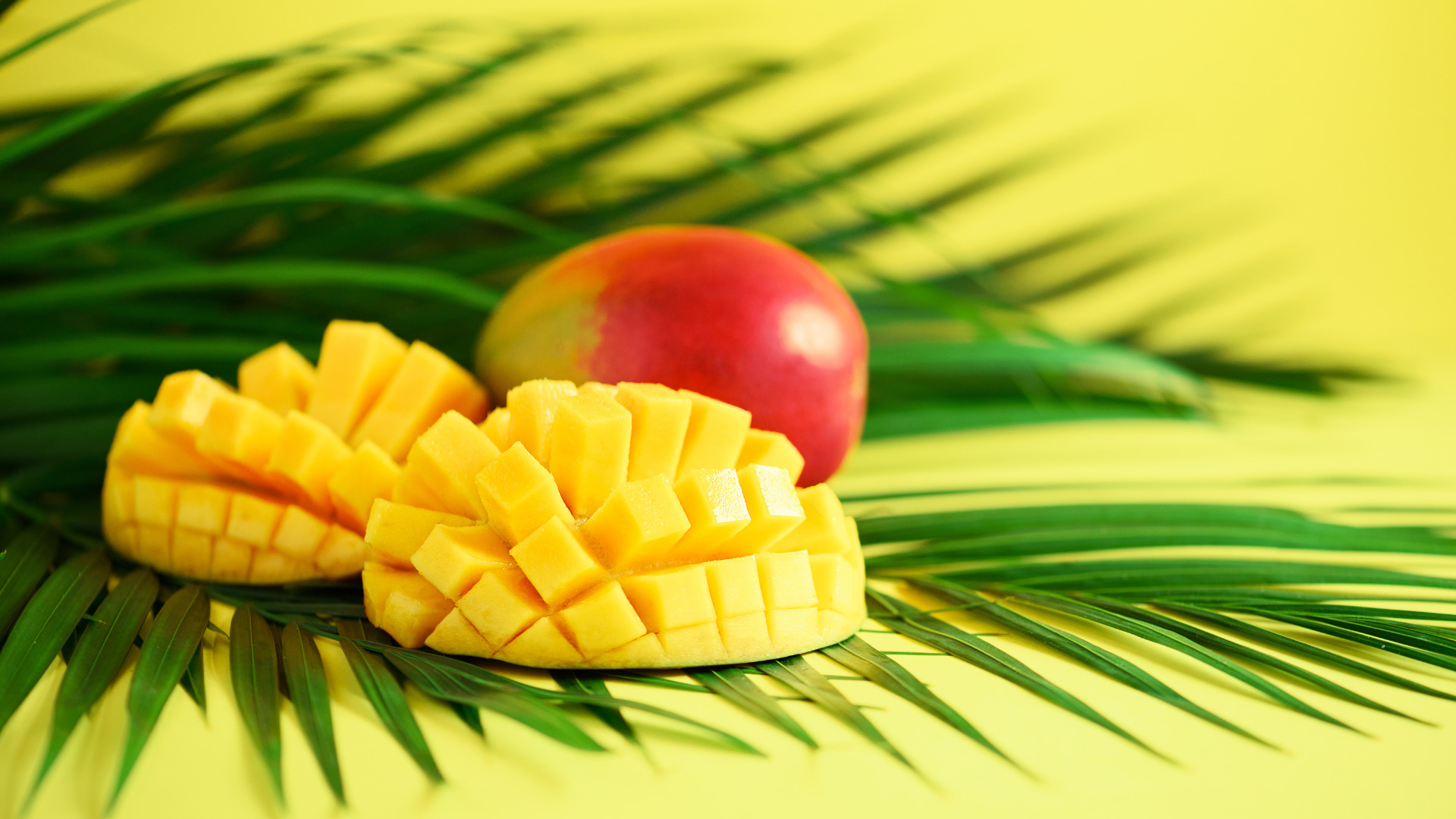 Mango - Frutas do Brasil